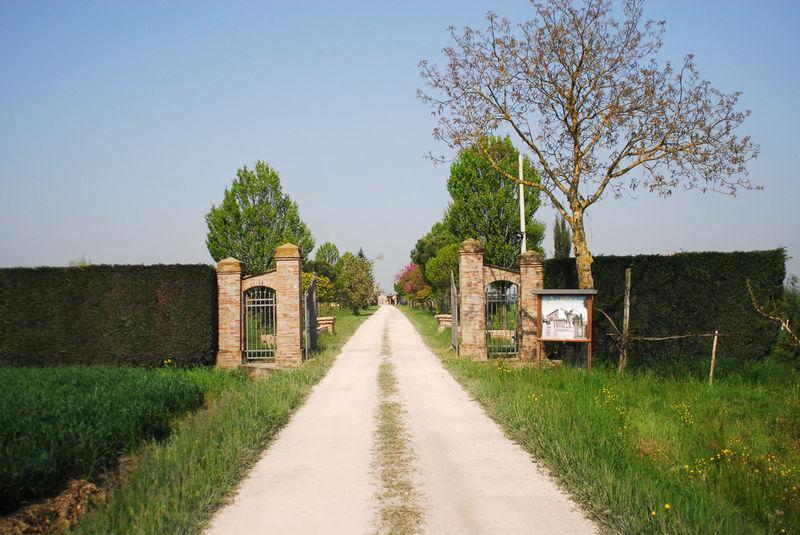 Вилла Agriturismo L'Angelina Alfonsine Экстерьер фото
